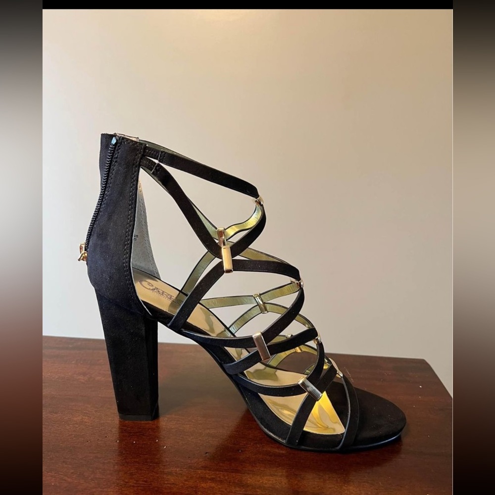 NEW in box Carlos Santana Sandals